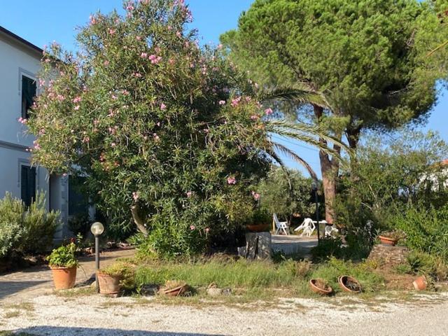 Isola d'Elba casa vacanze -magnetite - la casina Rio Marina Esterno foto